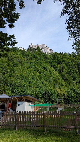 shared image 7